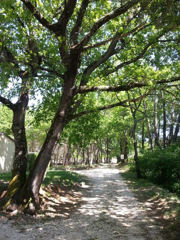 Camping Parc Saint Sauvayre Vagnas Ngoại thất bức ảnh